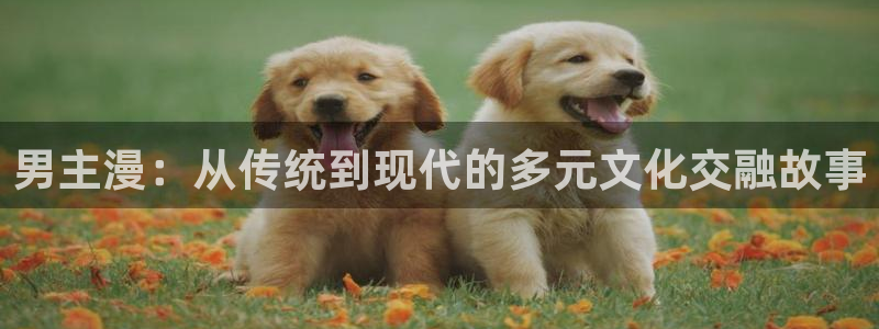 樱花风车漫画网专注动漫：男主漫：从传统到现代的多元文化交融故事