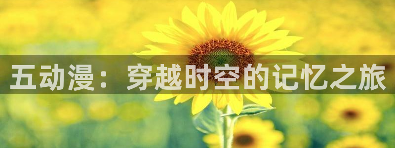 纤细的爱樱花动漫：五动漫：穿越时空的记忆之旅