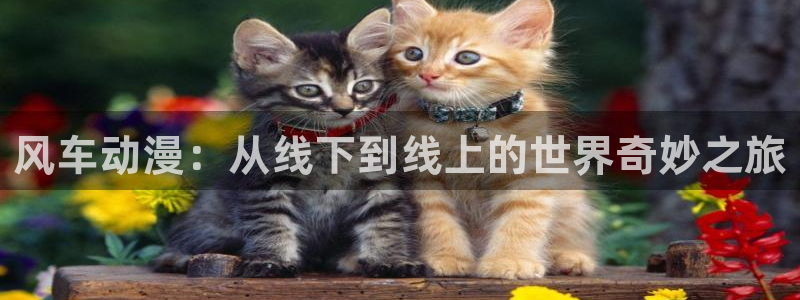 樱花动漫樱花动漫：风车动漫：从线下到线上的世界奇妙之旅