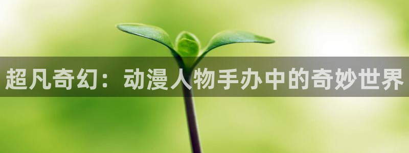 樱花动漫软件下载o：超凡奇幻：动漫人物手办中的奇妙世界