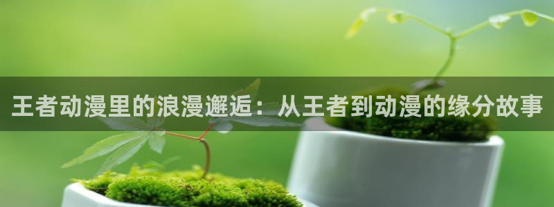 风车漫画免费版：王者动漫里的浪漫邂逅：从王者到动漫的缘分故事