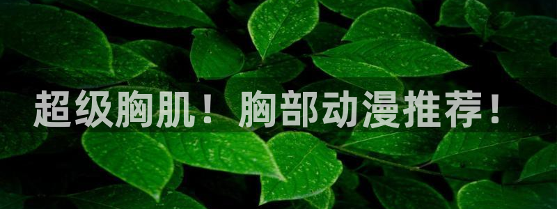 樱花动漫肉漫：超级胸肌！胸部动漫推荐！